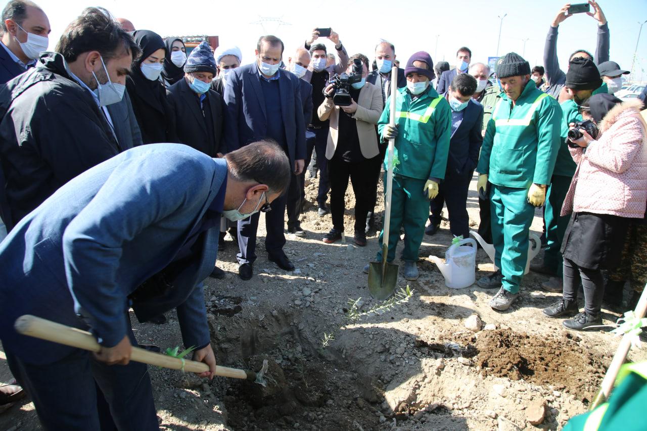 برگزاری مراسم روز درختکاری در اولین باغ زیتون شهری اسلامشهر