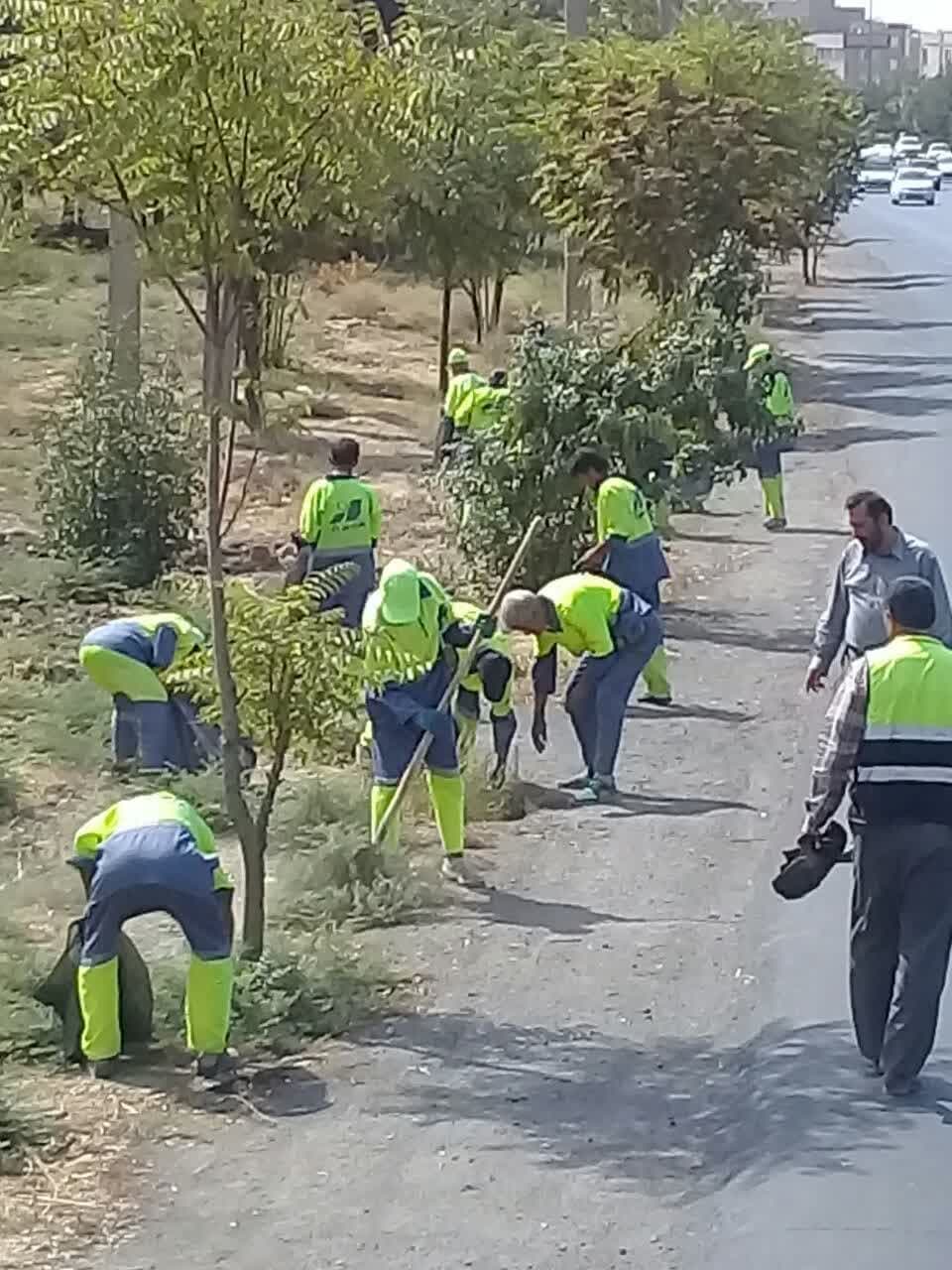 طرح جهادی عملیات پاکسازی و جمع آوری علفهای هرز، نخاله و زباله های رها شده در حاشیه اتوبان الغدیر